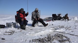 Зимняя рыбалка корюшки в лимане Амура, напротив Сахалина.