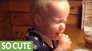 Baby tastes lemon, gives priceless reaction