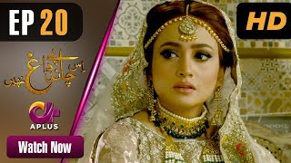 Drama | Is Chand Pe Dagh Nahin - Episode 20 | Aplus ᴴᴰ Dramas | Zarnish Khan, Firdous Jamal