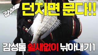 감성돔 던지면 문다!! (감성돔 구멍찾기1)