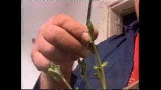 Производство Эм пластмассы (как делают ЭМ-пластик)