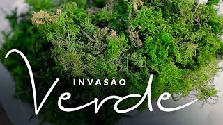 Jardim das Ideias #45: Invasão verde
