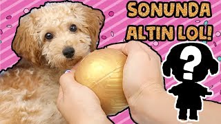 SON LOL Boys'tan ALTIN TOPU Bulduk! L.O.L Surprise Boys Brothers 1.Seri Bidünya Oyuncak ?
