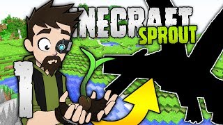 THERE BE DRAGONS?! | Minecraft Sprout | RPG Minecraft Modpack | #1