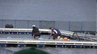 Resorts World Sentosa wild-caught dolphins with basketballs and hula hoops