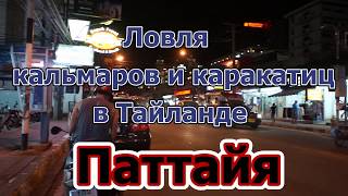 Ночная ловля кальмаров и каракатиц
