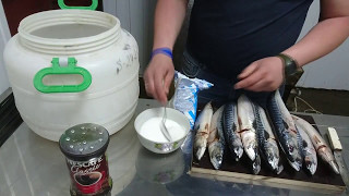 Копчение скумбрии и сельди в домашних условиях