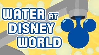 How Much Water is Used at Walt Disney World?