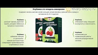Домашняя Ягодница Реальные Отзывы