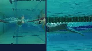 victor crawl lateral e frontal