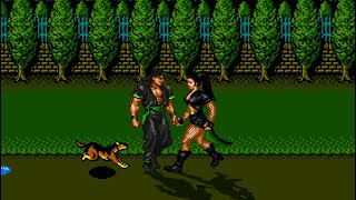 Streets of Rage Remake v5.1 - mod The Adventures of Bayou Billy (Shiva and Rudra gameplay)
