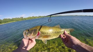 Clear Water Bass Fishing & Bike Rides