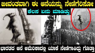ಜಗತ್ತಲ್ಲಿ ಮೊಟ್ಟಮೊದಲ ಬಾರಿಗೆ ಇಂಥ ಪ್ರಕರಣ ನೆಡೆದದ್ದು ಯಾಕೆ ಮತ್ತೆ ಎಲ್ಲಿ ಗೊತ್ತಾ The day when "Humanity