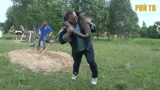 Хомут для Набиуллиной и правительства
