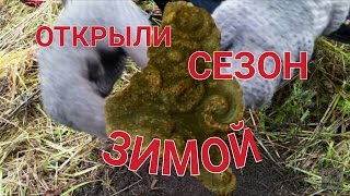 Открыли сезон среди зимы.В наших рядах новый комрад.Minelab Safari.