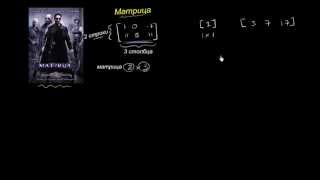 Матрицы. Введение