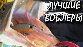 Лучшие воблеры на щуку! Воблеры истребители 2019!