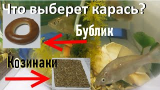Супер Насадка для карася.Наживка на карася.