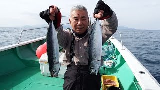 27年1月25日つばす＆寒サバ祭り