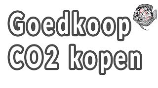 Waar GOEDKOOP CO2 KOPEN? | Aquarium Sunshine Valley