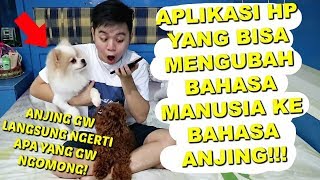 ANJING GW OLAF Sekarang Bisa BAHASA MANUSIA?! **not clickbait**