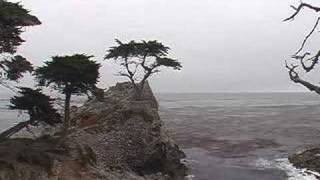 Northern California Tour San Francisco to Pebble Beach