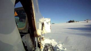 Bobcat Gets Stuck in Deep Snow...or  does it?