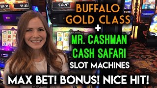 First Try on Buffalo Gold Class Slot Machine! Max Bet Train BONUS!