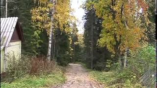 фильм «Дивный старец Серафим»