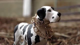 Corruption - Episode 1 - "Runaway Feather" (Schleich Dog/Wolf Movie)