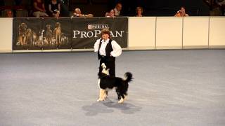 Galina & Moja Nadezhda Rolly Royce - World Championship in Dogdancing, Austria 2012