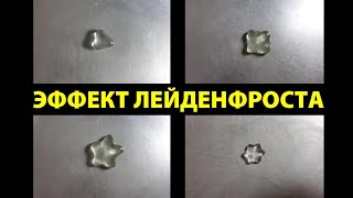 Эффект Лейденфроста