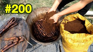 第200集 农村常温下如何保存腊肉腊肠 埋进菜枯里 存放越久反而越香！