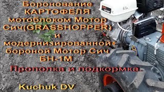 Боронование картофеля МБ  Мотор Сич и бороной Мотор Сич БН-1М, а так же прополка и подкормка!