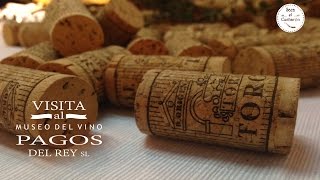 Visita al Museo del Vino Pagos del Rey, por Saca el Cucharón.