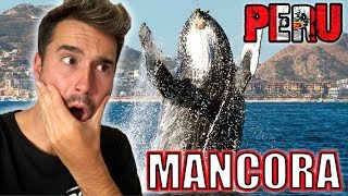 Nos bañamos con TORTUGAS y BALLENAS por Primera Vez | MANCORA, PERÚ