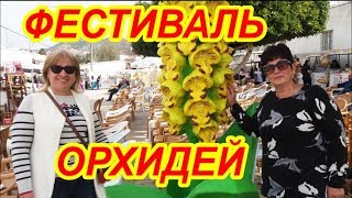 ФЕСТИВАЛЬ ОРХИДЕЙ. ЧАСТЬ 1. ГОТОВИМСЯ К ПОХОДУ. КУШАЕМ. ТАНЦУЕМ...