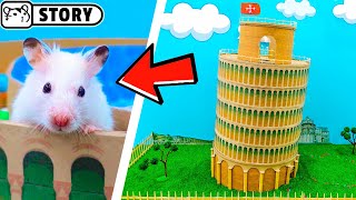 Tower of Pisa MAZE for HAMSTER ⭐ 6-level Cardboard Round Pool MAZE ⭐ Tower Escape