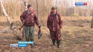 На Брянщине сегодня завершается сезон охоты на водоплавающую дичь