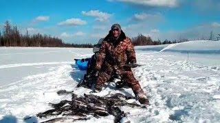 Хариус 2016(выезд с Лёхой часть №2)