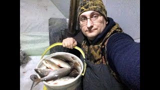 ГИГАНТСКАЯ ПЛОТВА НЕ ДАЕТ ПОКОЯ / РЫБАЛКА МЕЧТЫ