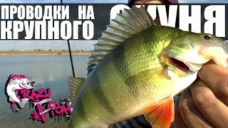 ЛОВЛЯ ОКУНЯ на СИЛИКОНОВЫЕ ПРИМАНКИ - 2 Хитрые Проводки на Крупного Окуня Crazy Fish Часть 2