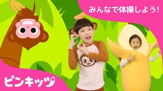 みんなで体操しよう！ | おさるバナナ＋バナナ 体操の歌 | 子ども体操教室 | 振り付き | Baby Shark | ピンキッツ！