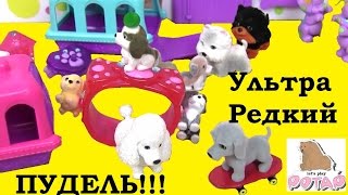Игры для Девочек. Щенок в Моём Кармане Puppy in My Pocket Видео для Детей. Игрушки для Девочек
