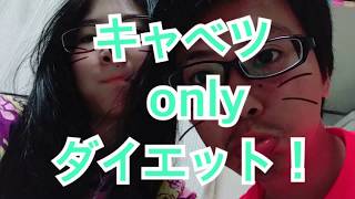 キャベツ生活1日目！