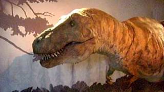 T-rex "mobile"