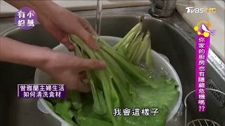 蔬果怎麼洗才安心？ 譚敦慈教這妳步驟，農藥不下肚 小燕有約