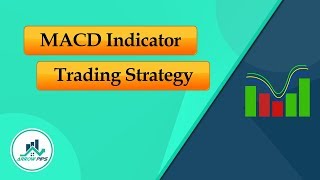 How to implement MACD Indicator Strategy in Forex Trading?