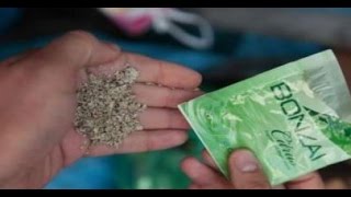 Bonzai nedir - bonzai ve zararları - bonzai içenlerin hali