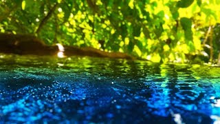 Peaceful Stream Sounds 10 Hours | Sleep, Study, Focus | Water White Noise